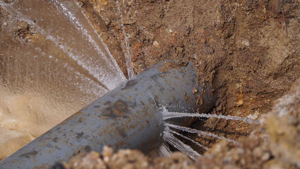 Leak detection